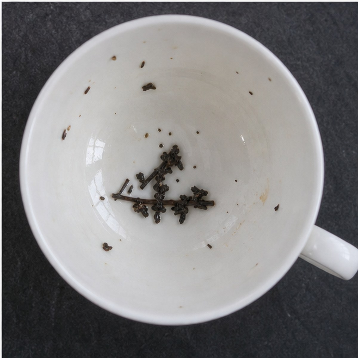 Carpenter At Work tea leaves cup variation three