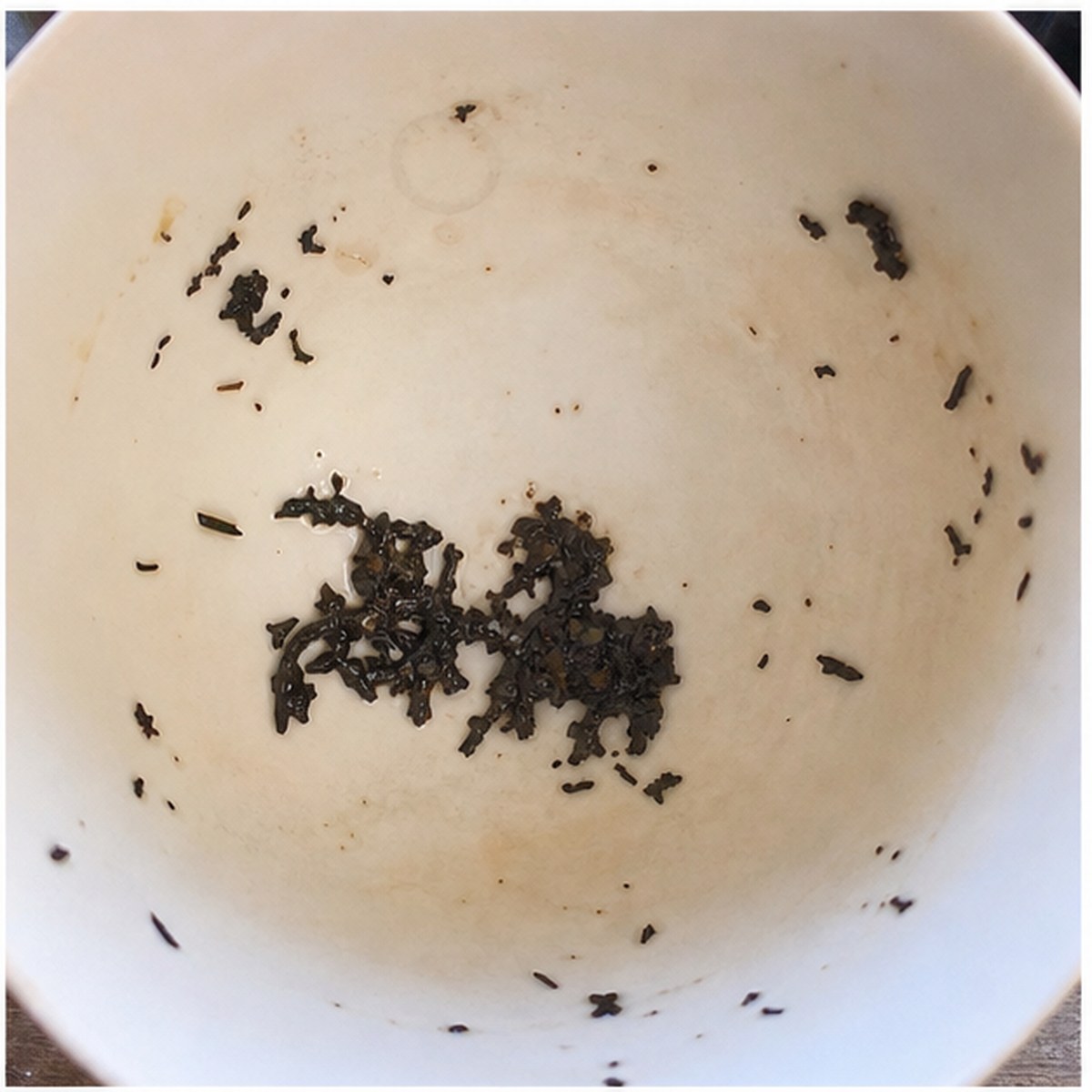 Carriage And Horses tea leaves cup variation one