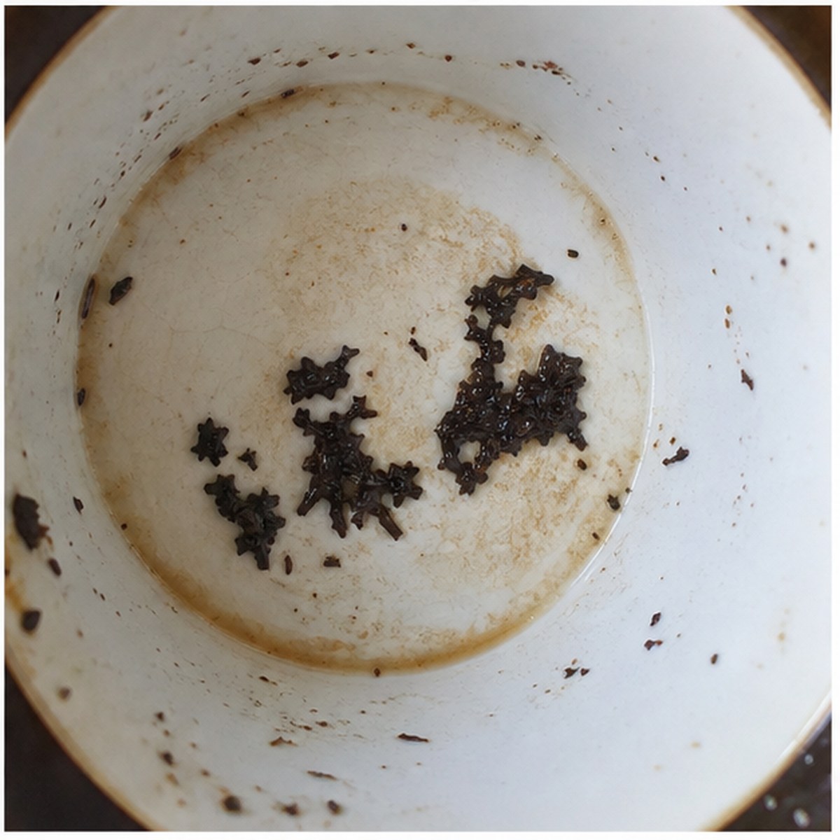 Carriage And Horses tea leaves cup variation three
