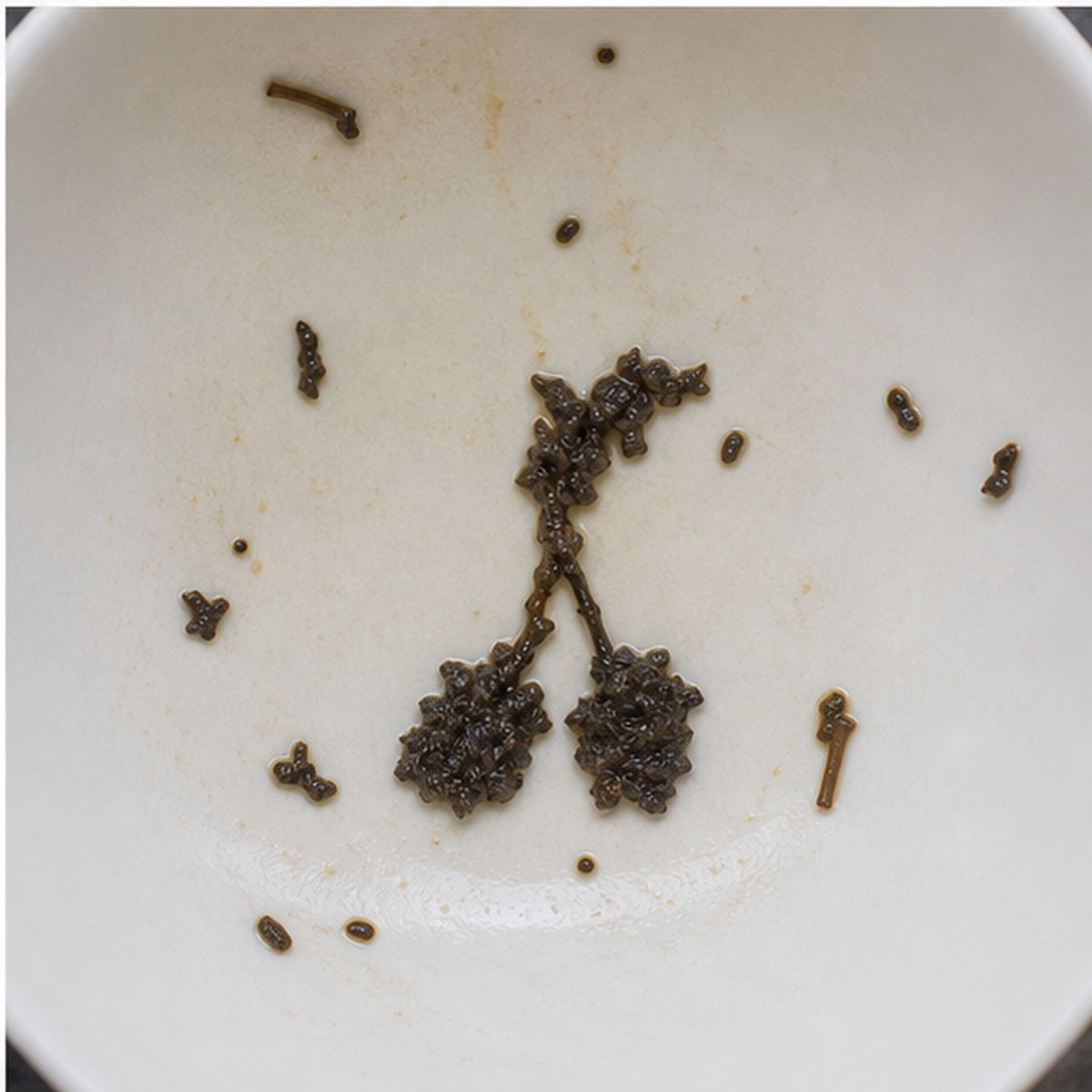 Cherries tea leaves cup variation three