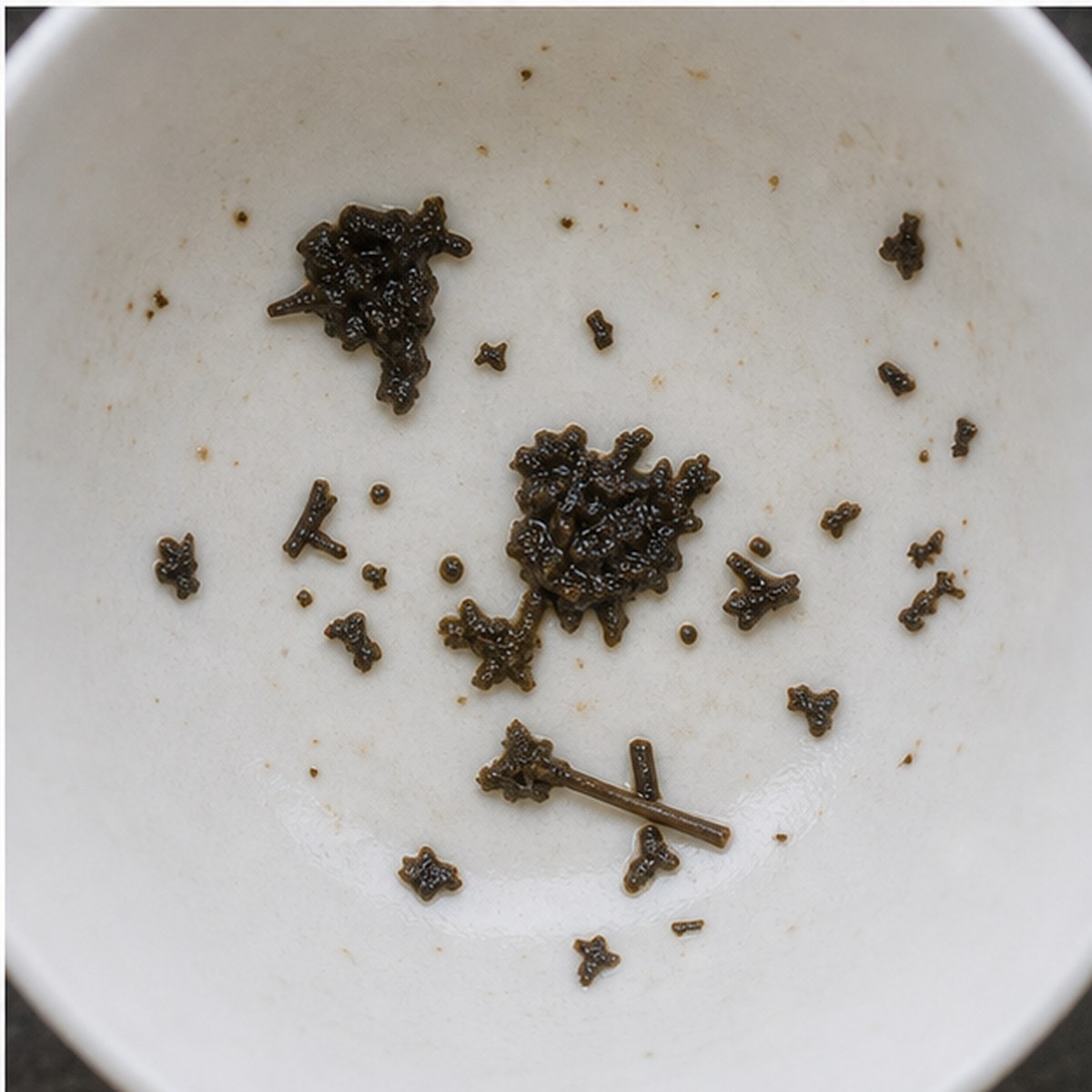Chicken tea leaves cup variation three