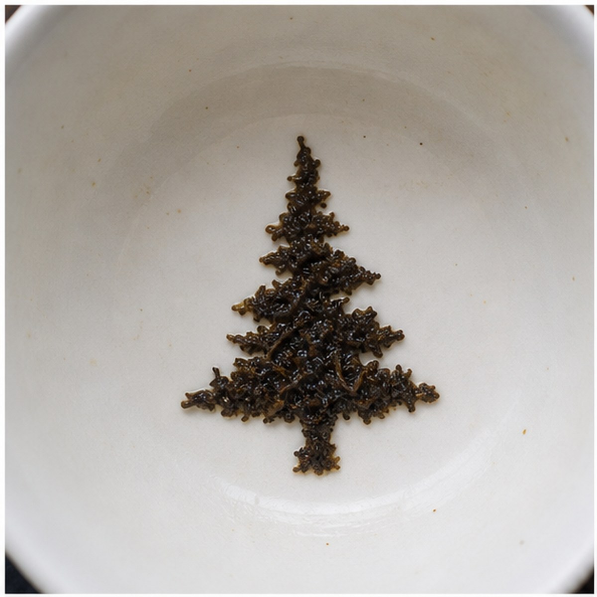 Christmas Tree tea leaf reading cup example
