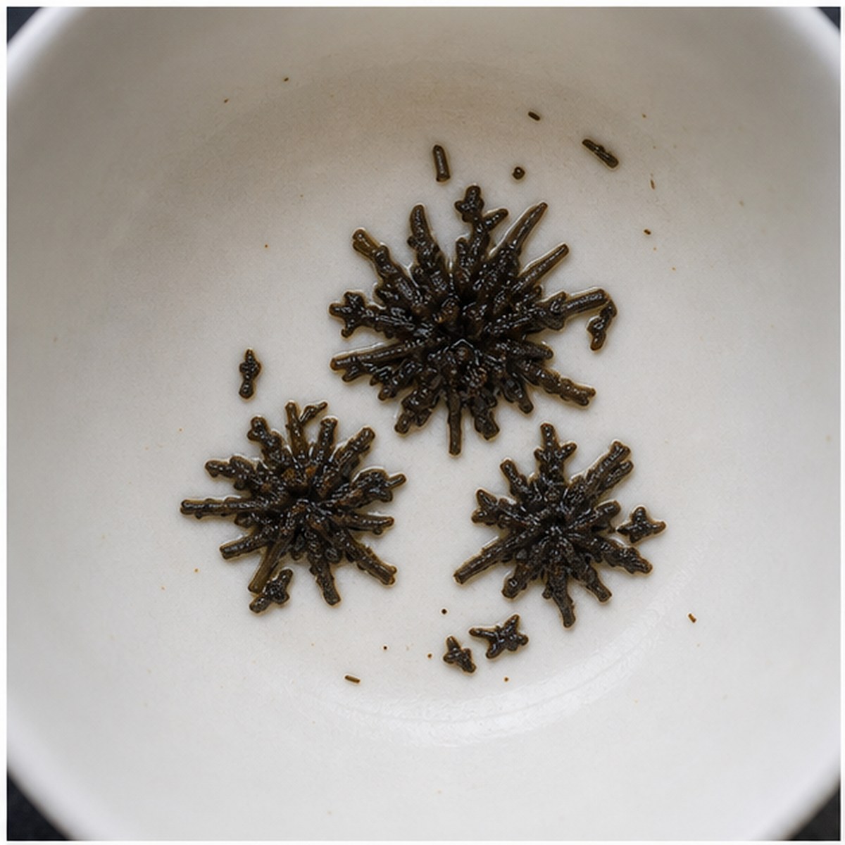 Chrysanthemums tea leaf reading cup example