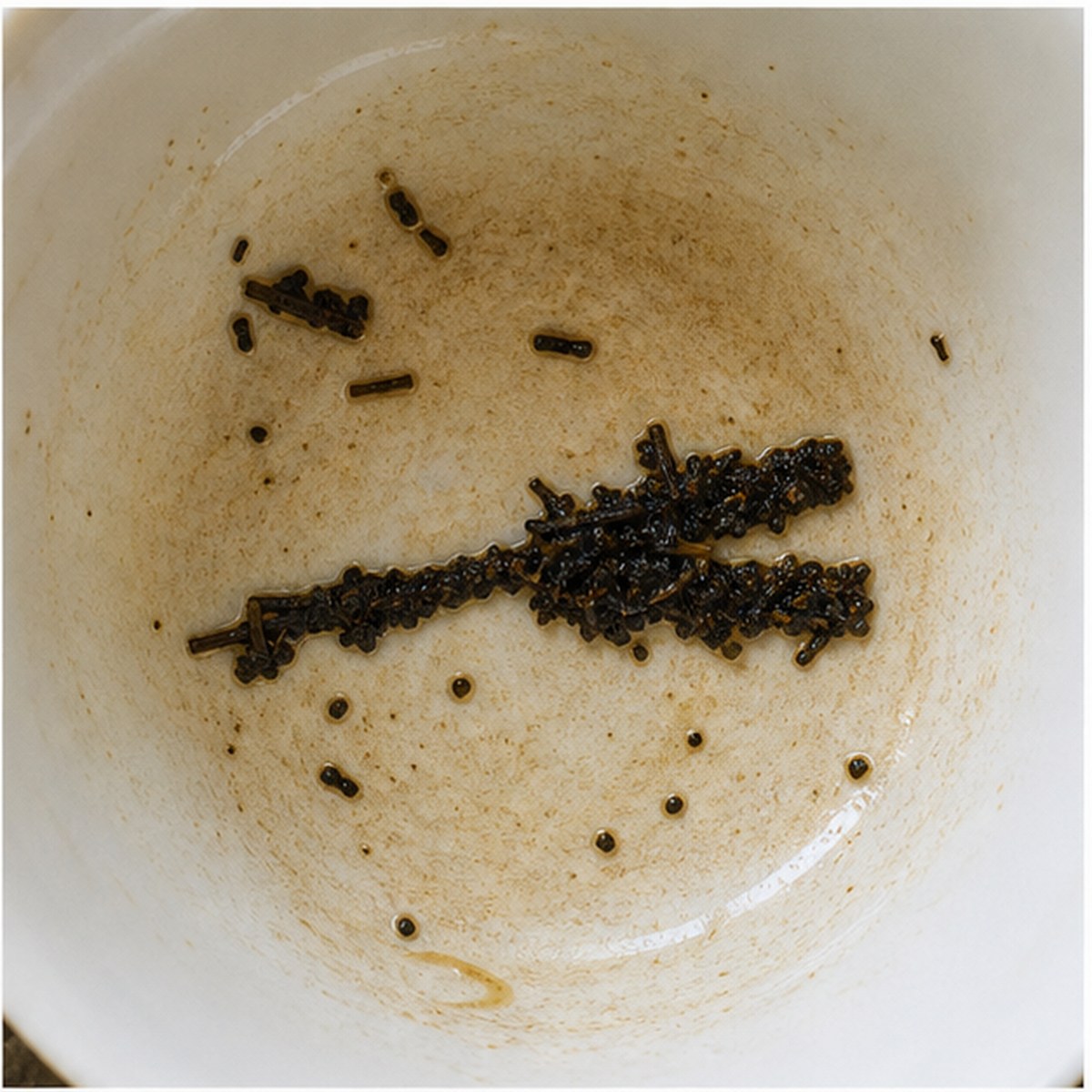 Clapper For Scaring Birds tea leaves cup variation one