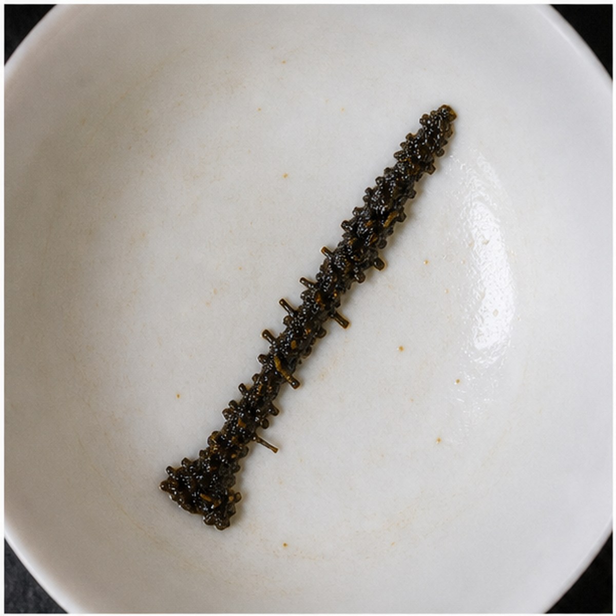 Clarionet tea leaf reading cup example