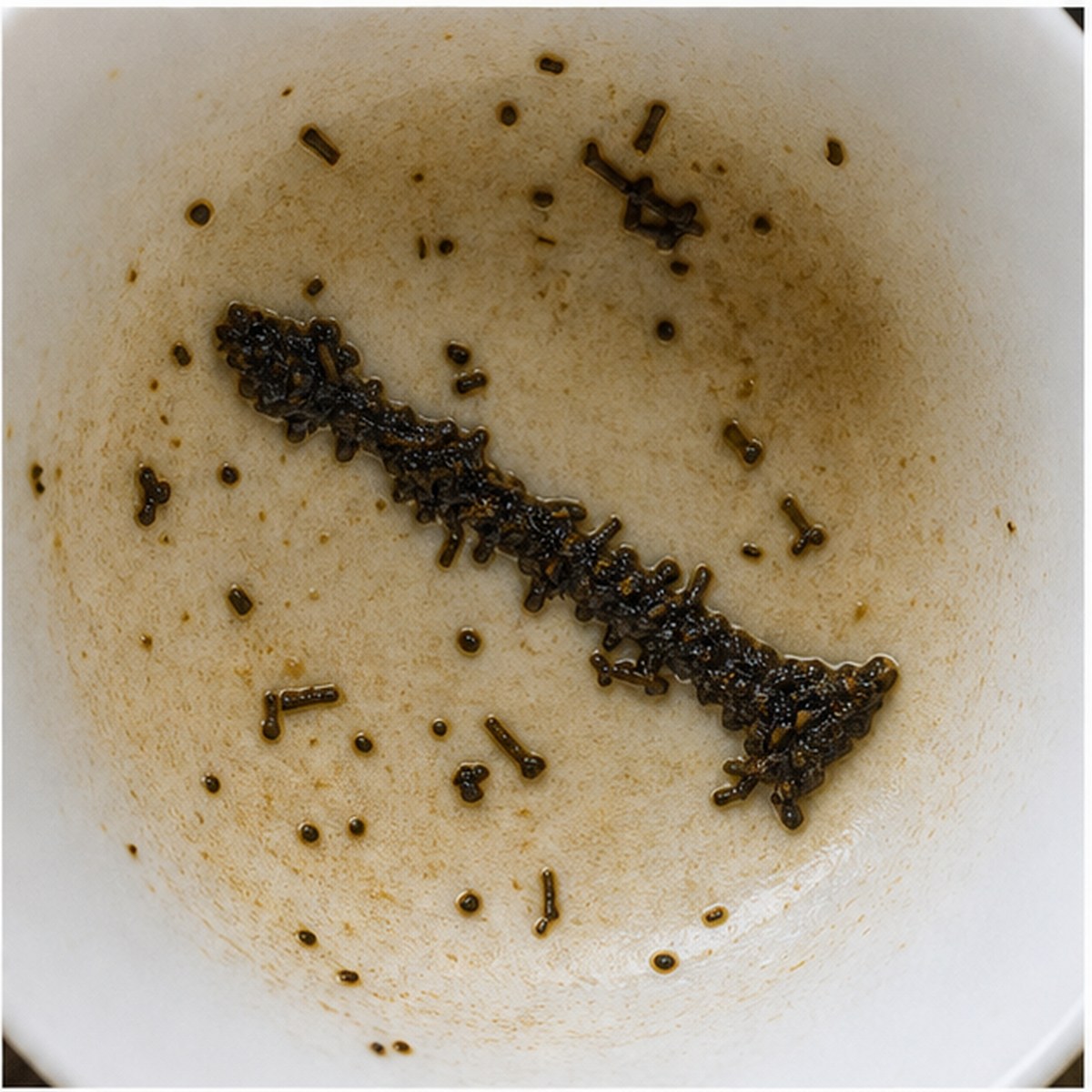 Clarionet tea leaves cup variation one