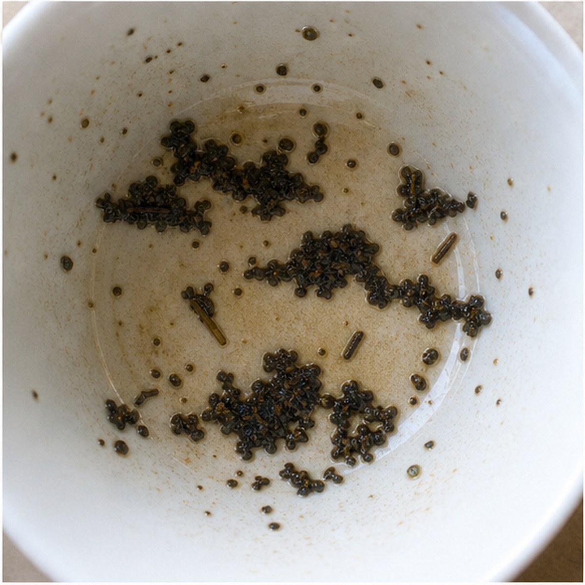 Clouds tea leaves cup variation two