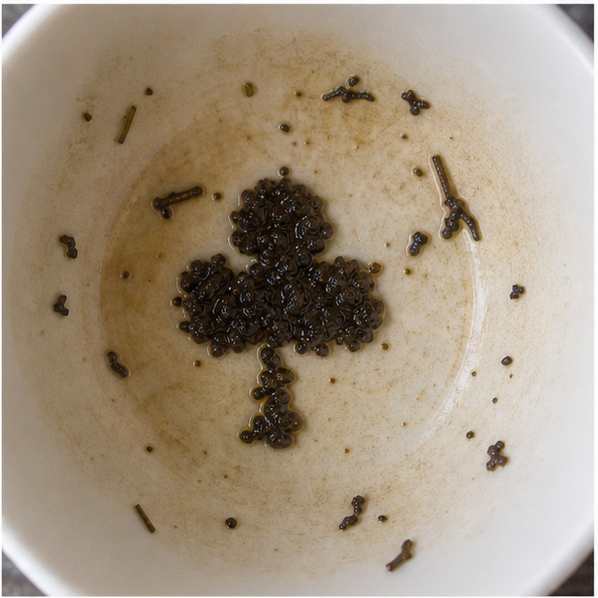 Clubs tea leaves cup variation one