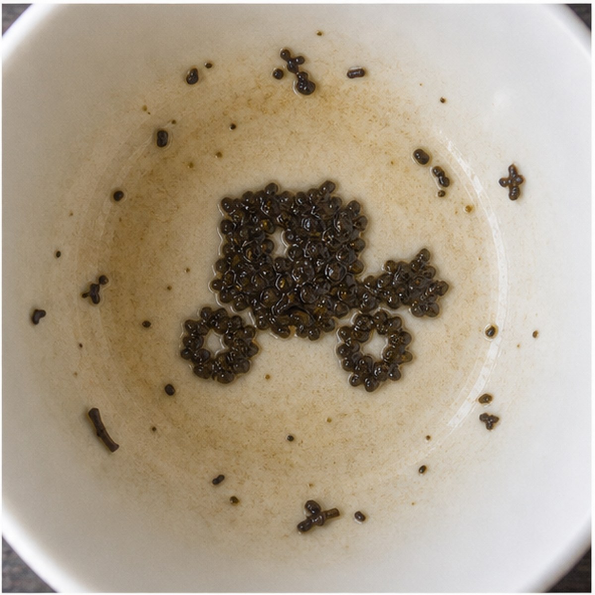 Coach tea leaves cup variation one