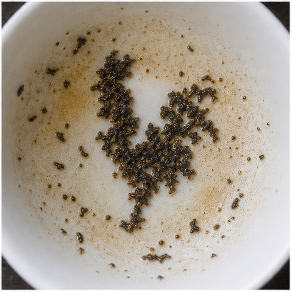 Cock tea leaves cup variation three
