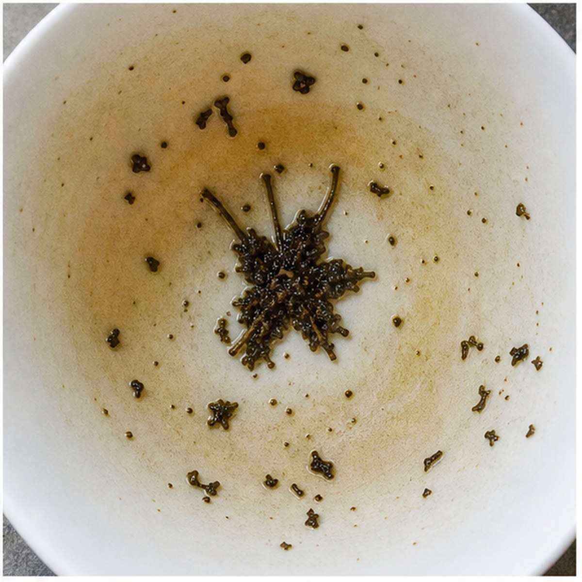 Columbine tea leaves cup variation three