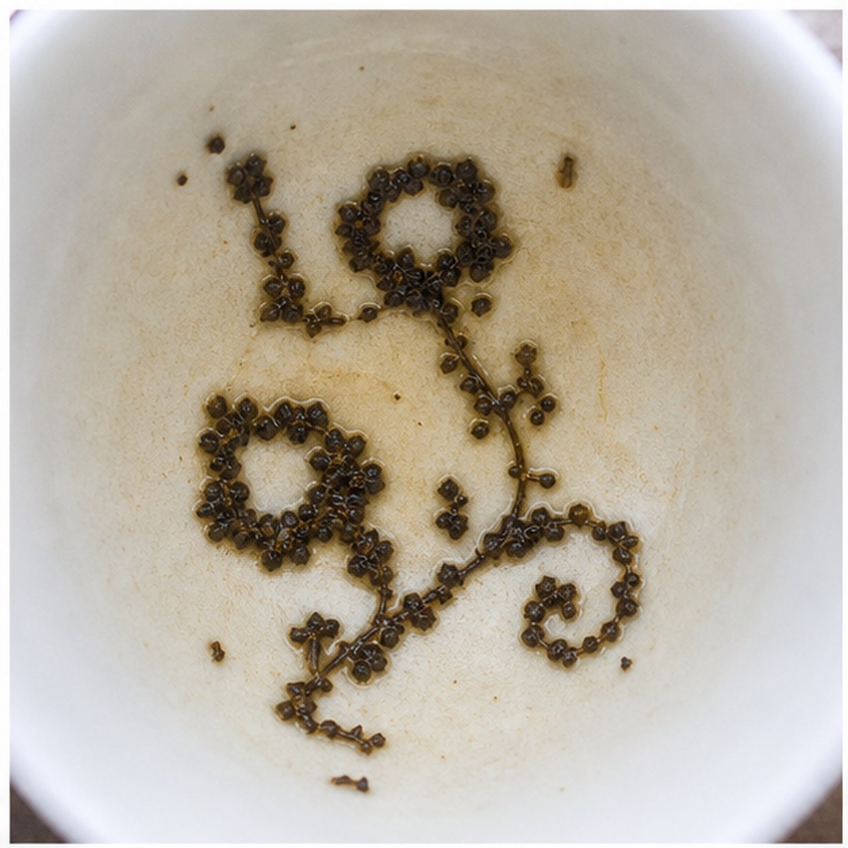 Convolvuli tea leaf reading cup example