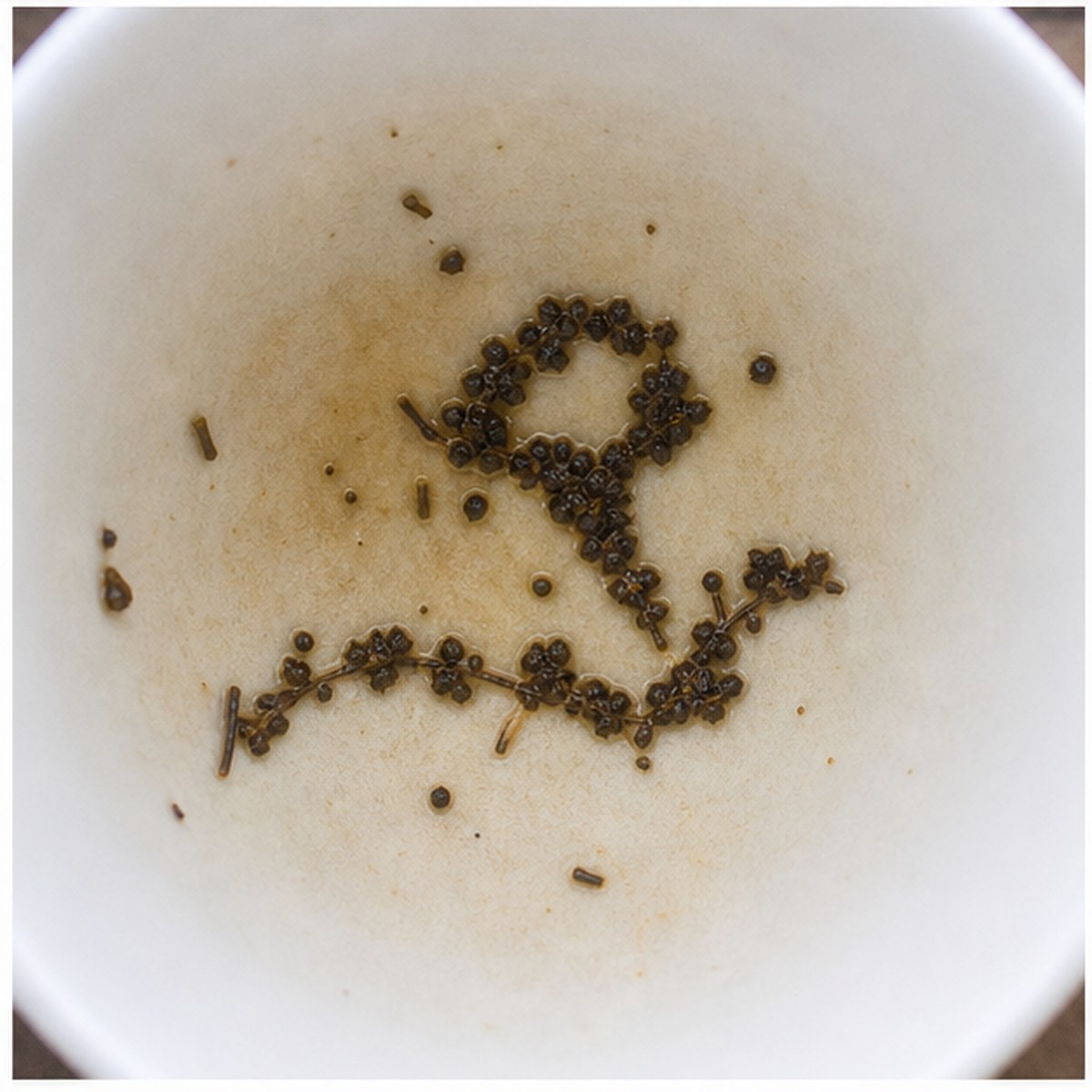 Convolvuli tea leaves cup variation two