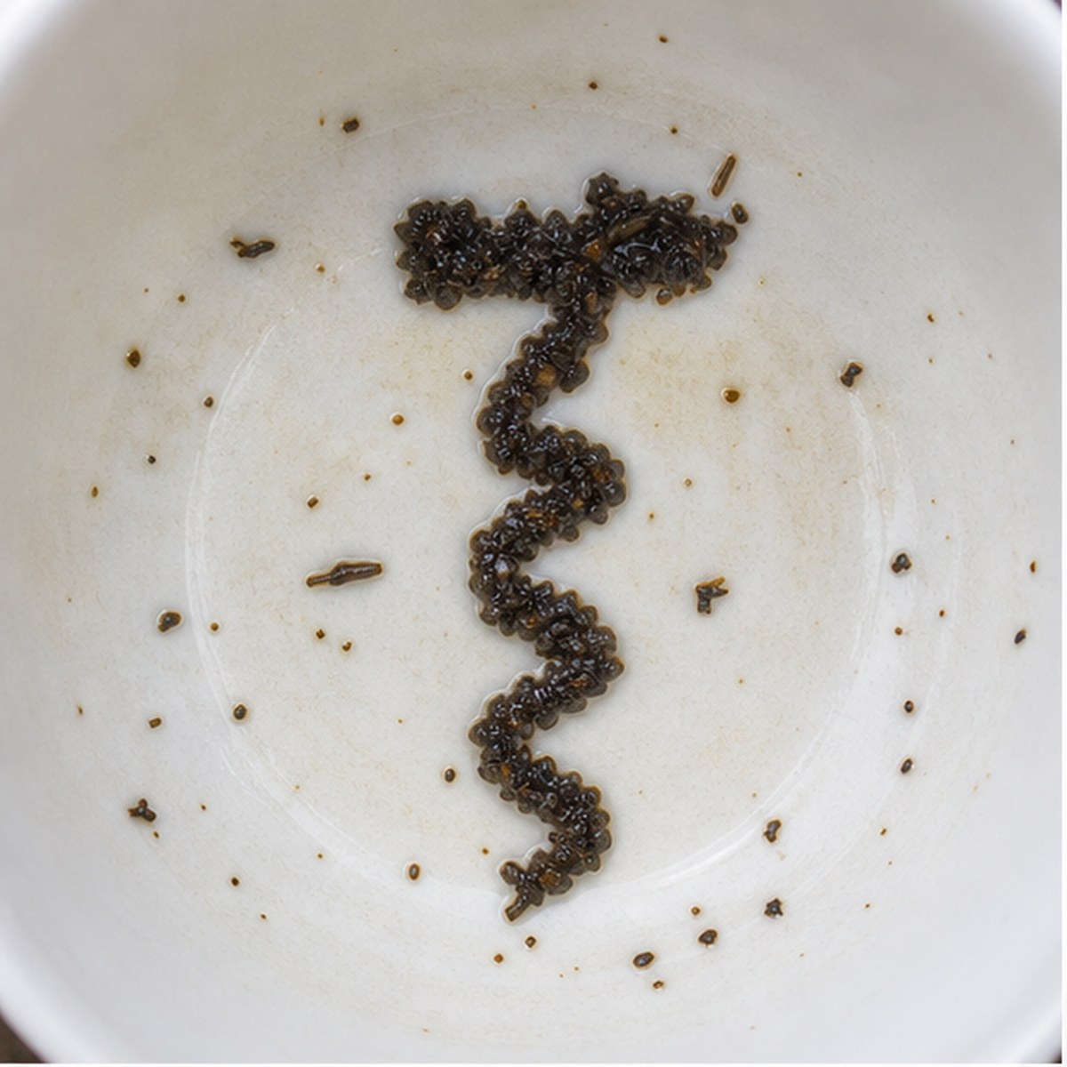 Corkscrew tea leaf reading cup example
