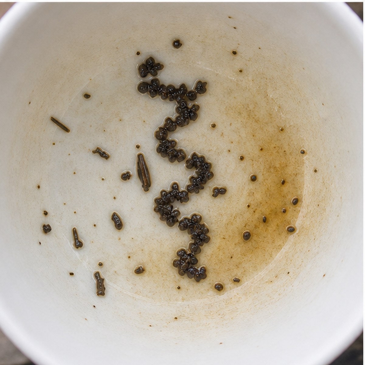 Corkscrew tea leaves cup variation two