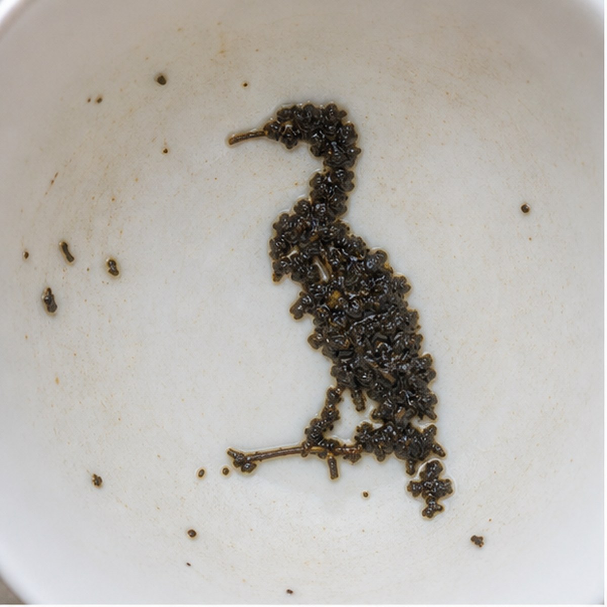 Cormorant tea leaf reading cup example