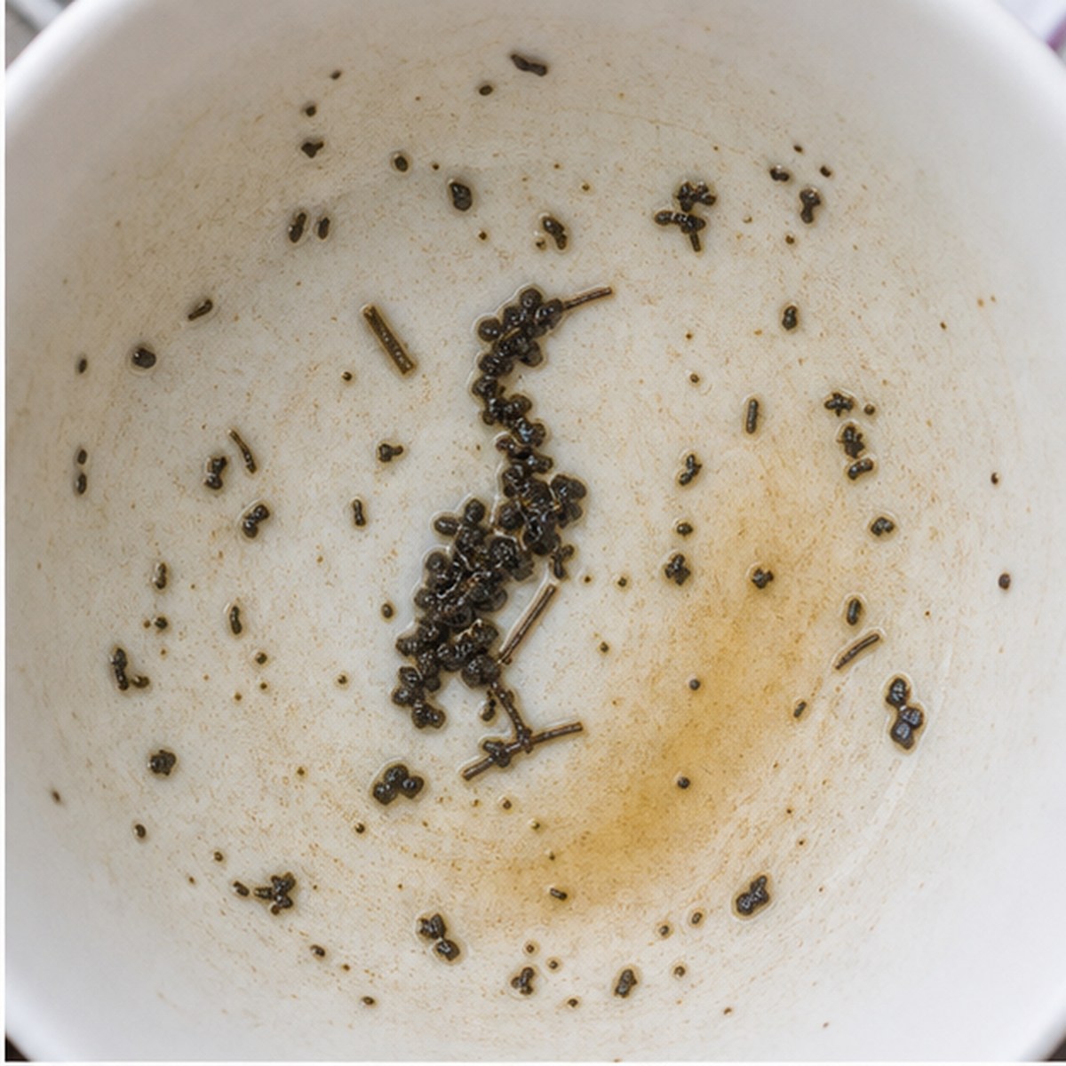 Cormorant tea leaves cup variation one