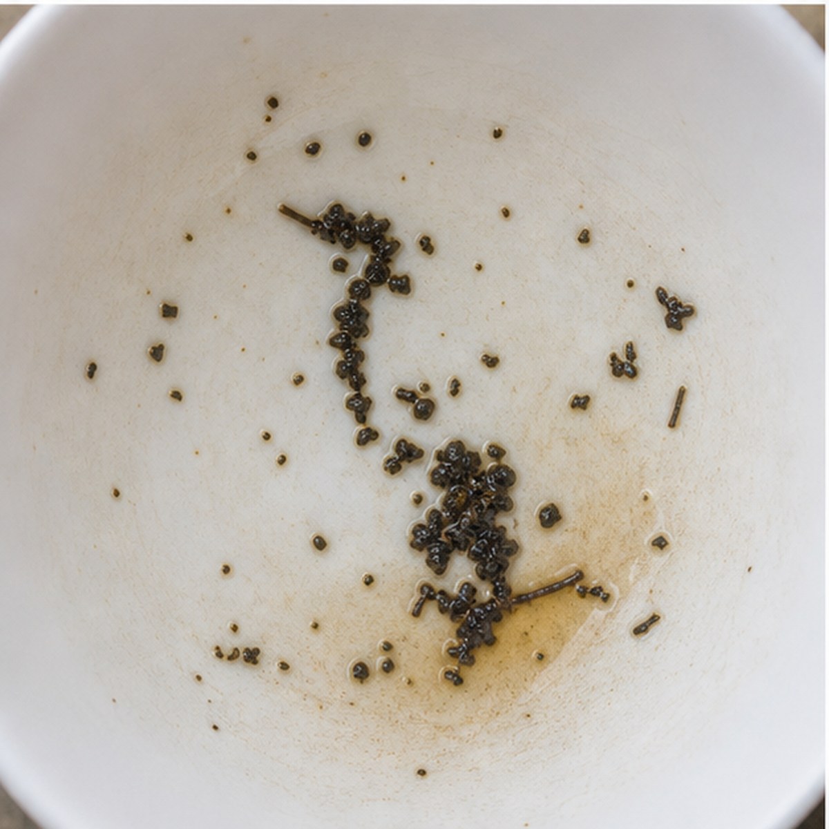 Cormorant tea leaves cup variation two