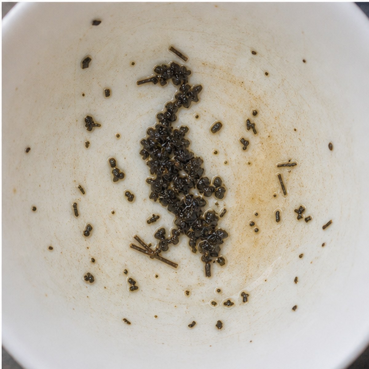 Cormorant tea leaves cup variation three