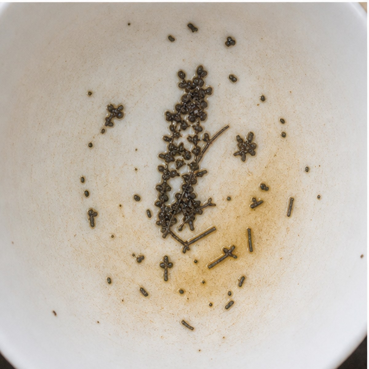 Corn tea leaves cup variation two