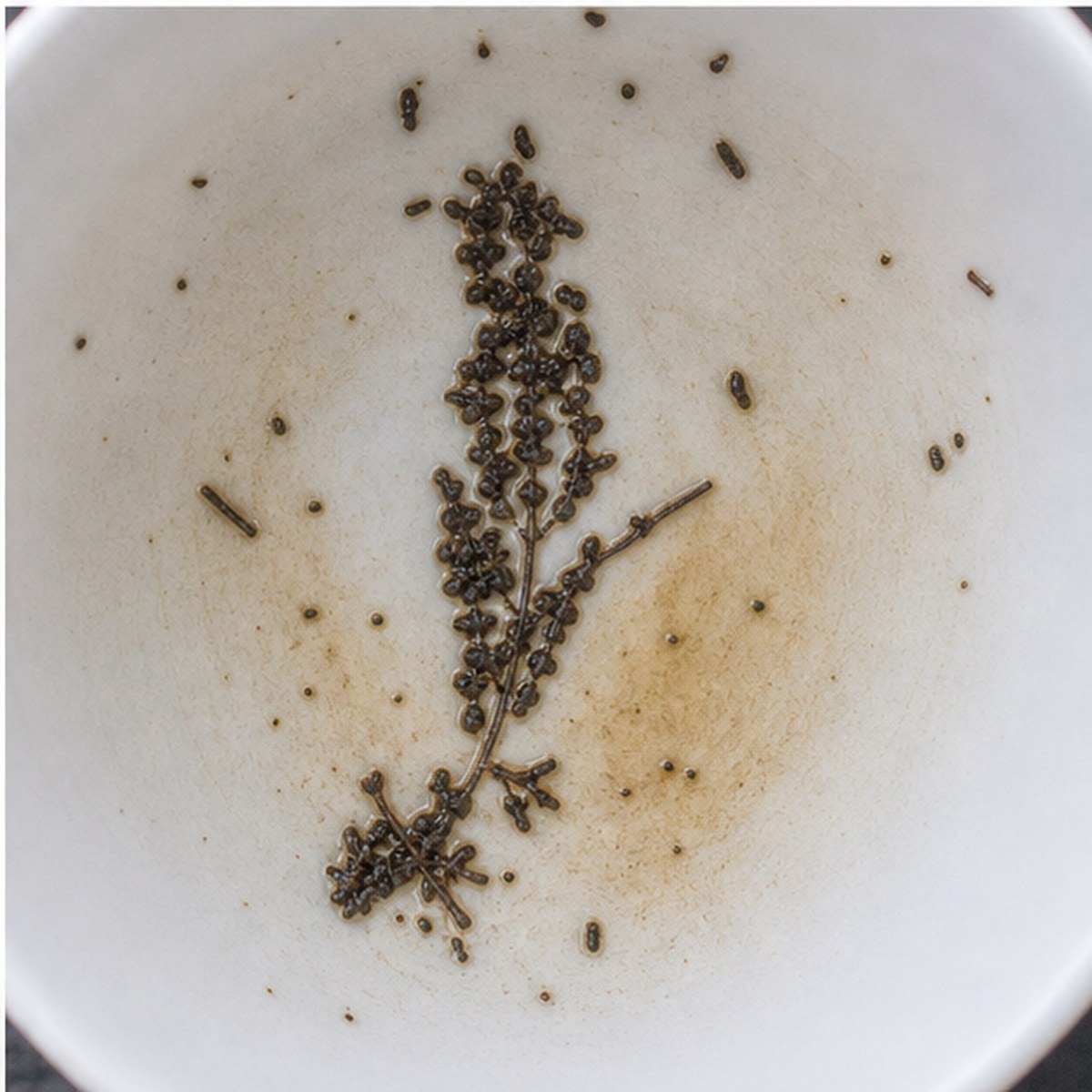 Corn tea leaves cup variation three