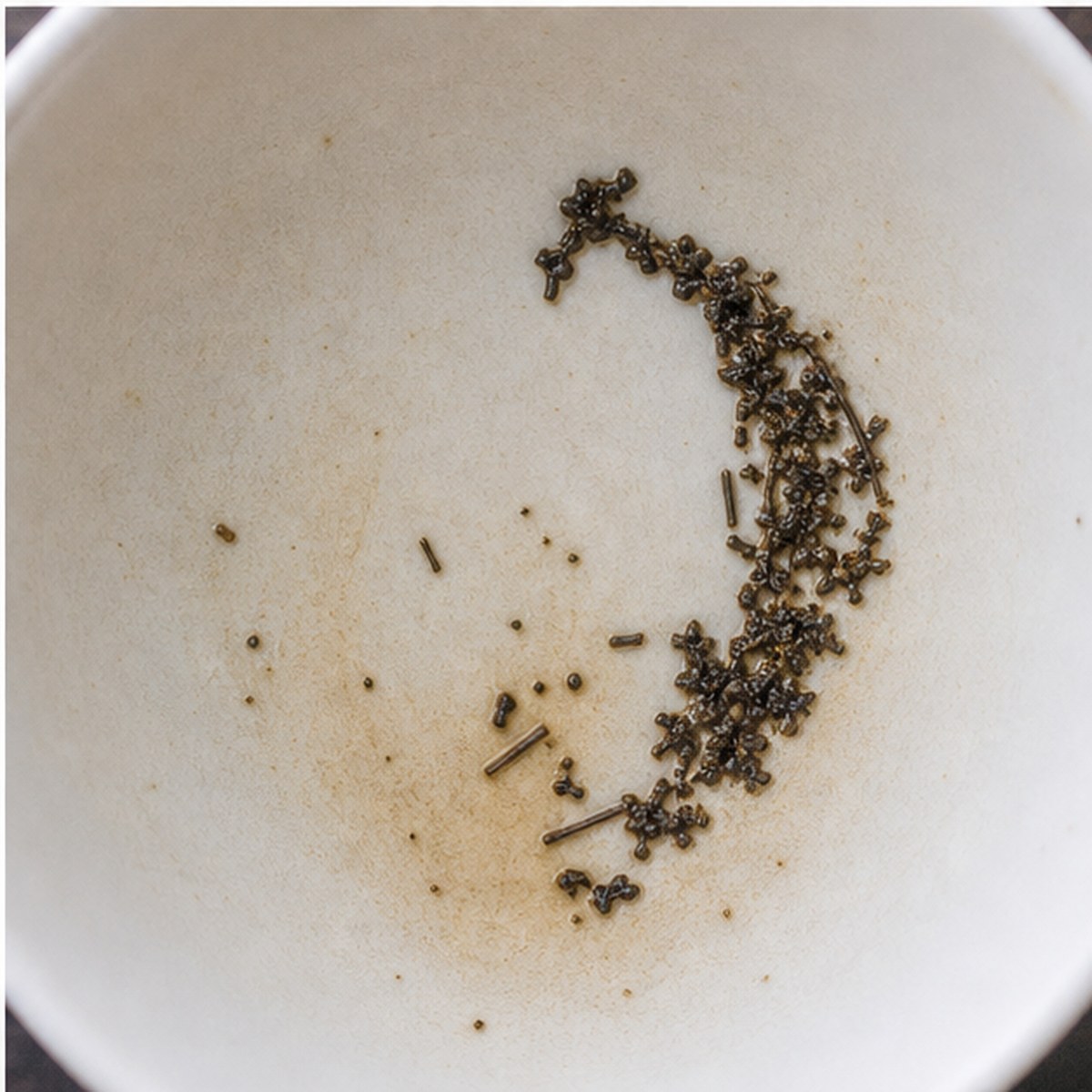 Cornucopia tea leaves cup variation three