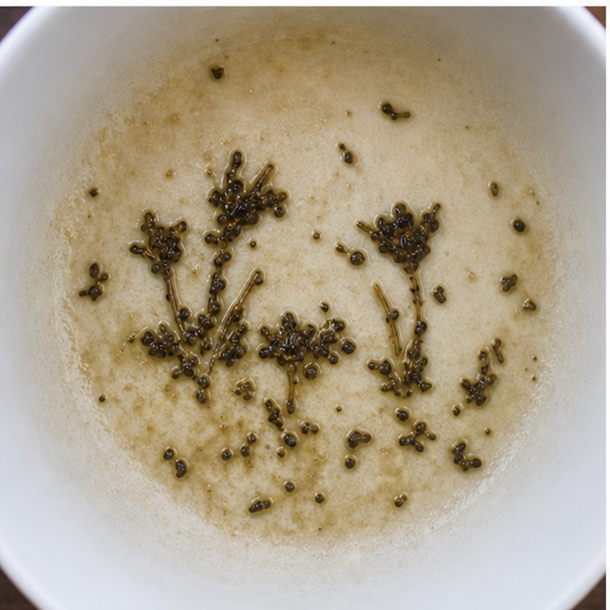 Crocuses tea leaves cup variation two