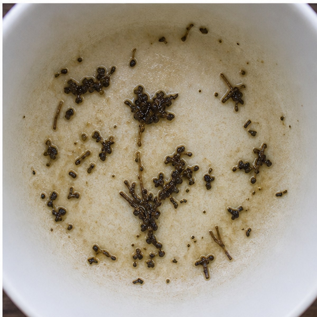 Crocuses tea leaves cup variation three