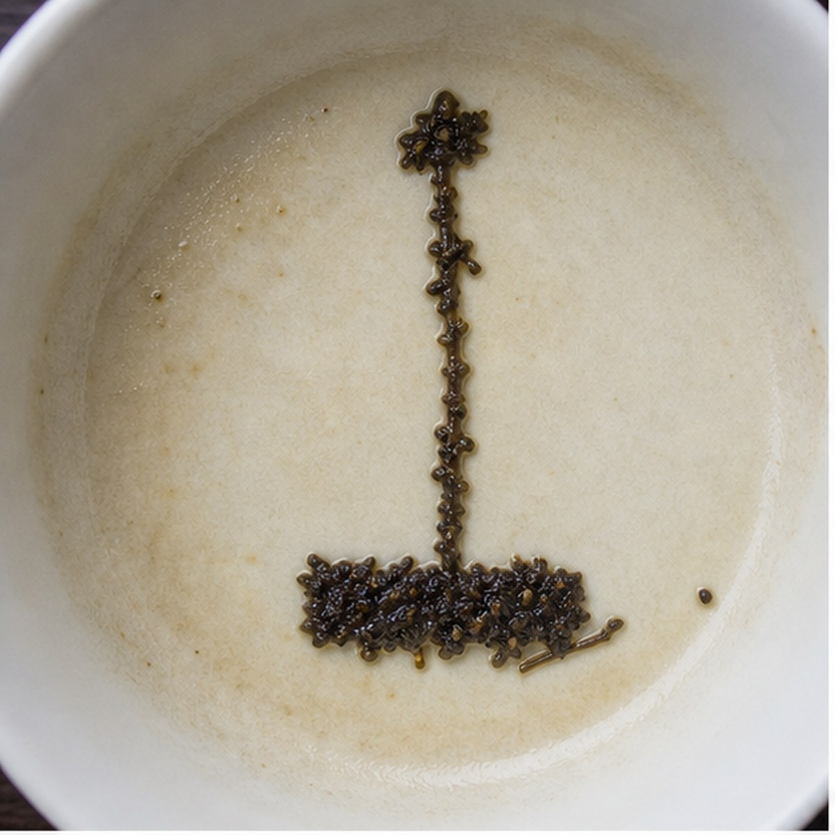 Croquet-Mallet tea leaf reading cup example