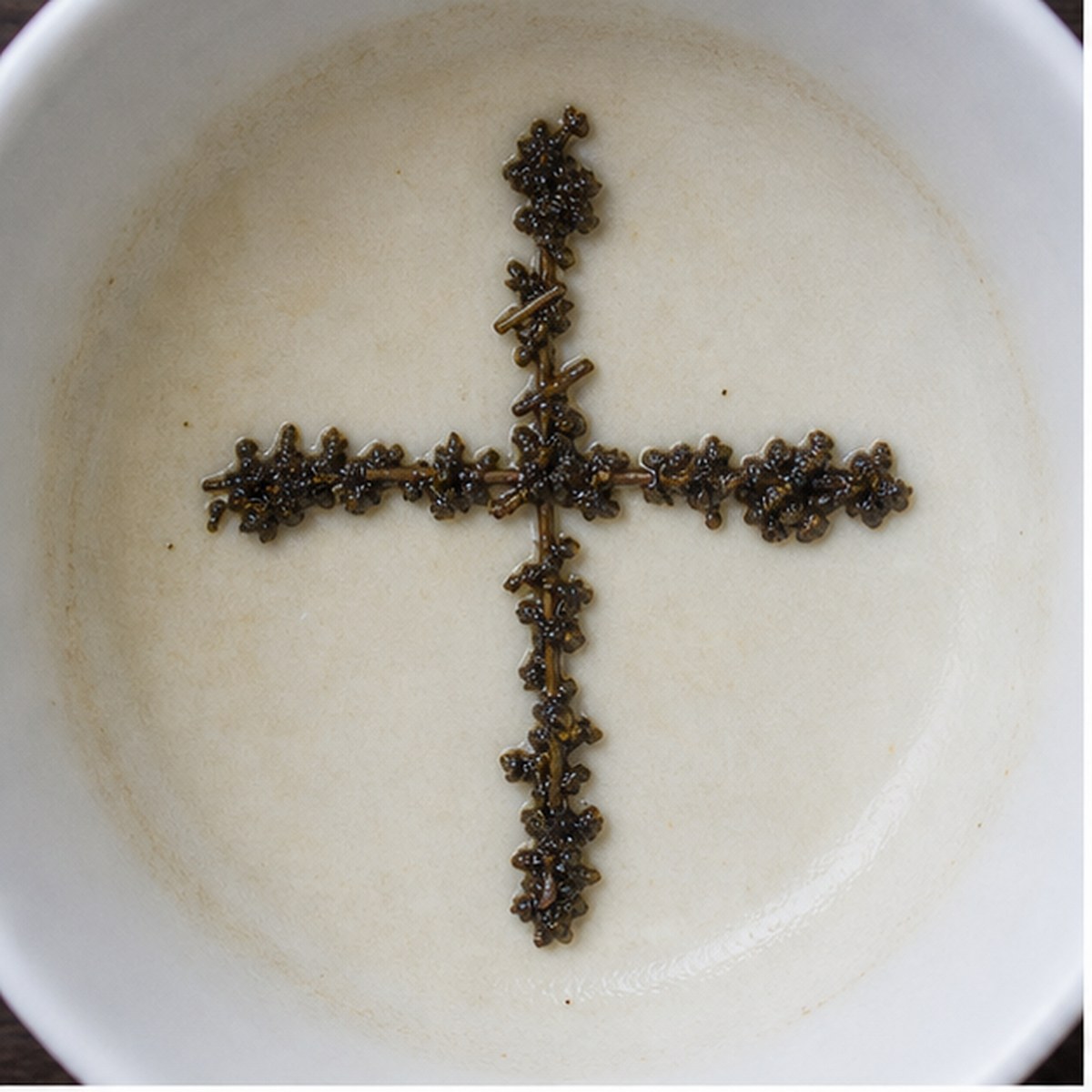 Cross tea leaf reading cup example