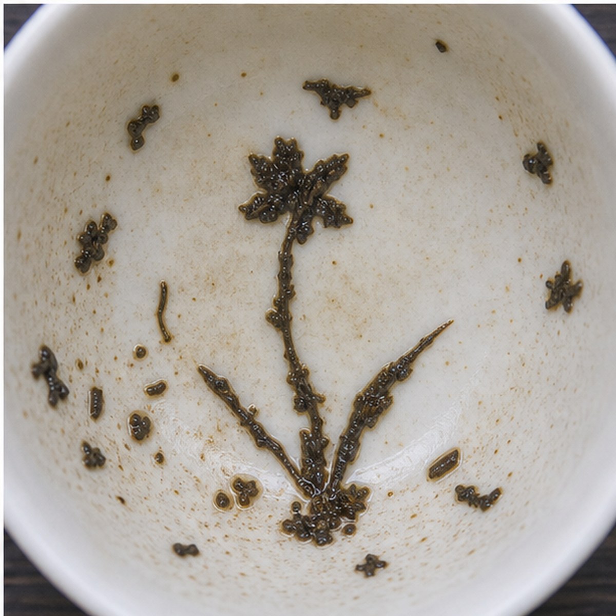 Daffodils tea leaves cup variation three