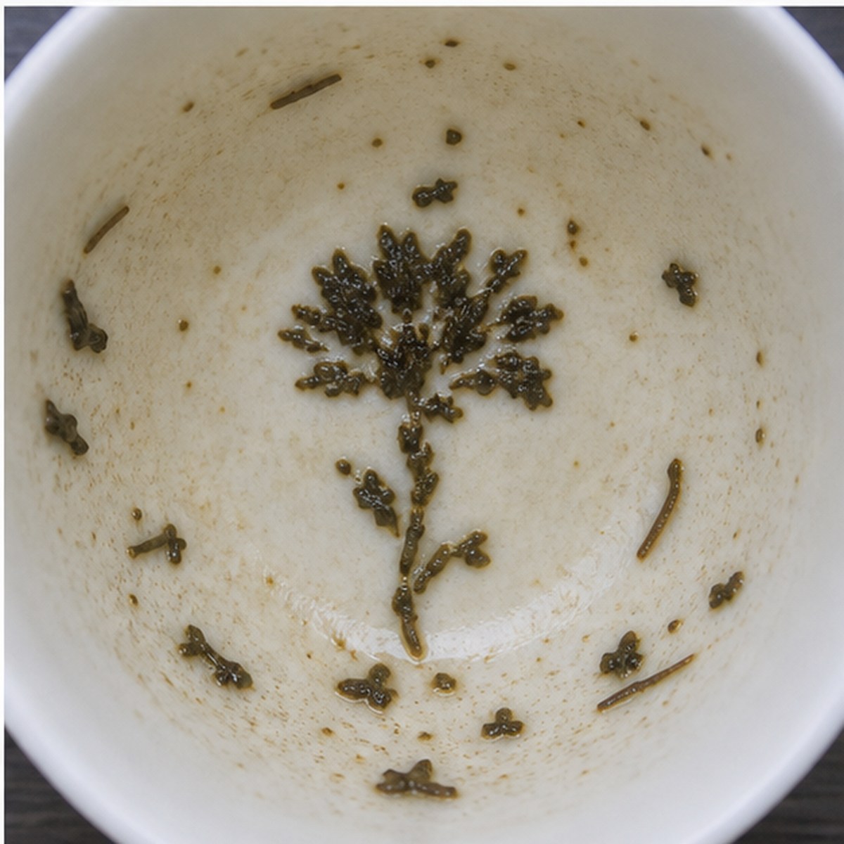 Dahlias tea leaves cup variation three