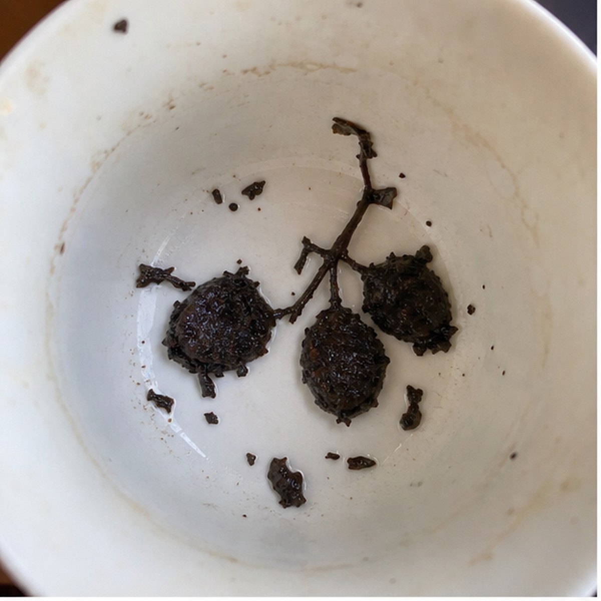 Damsons tea leaf reading cup example