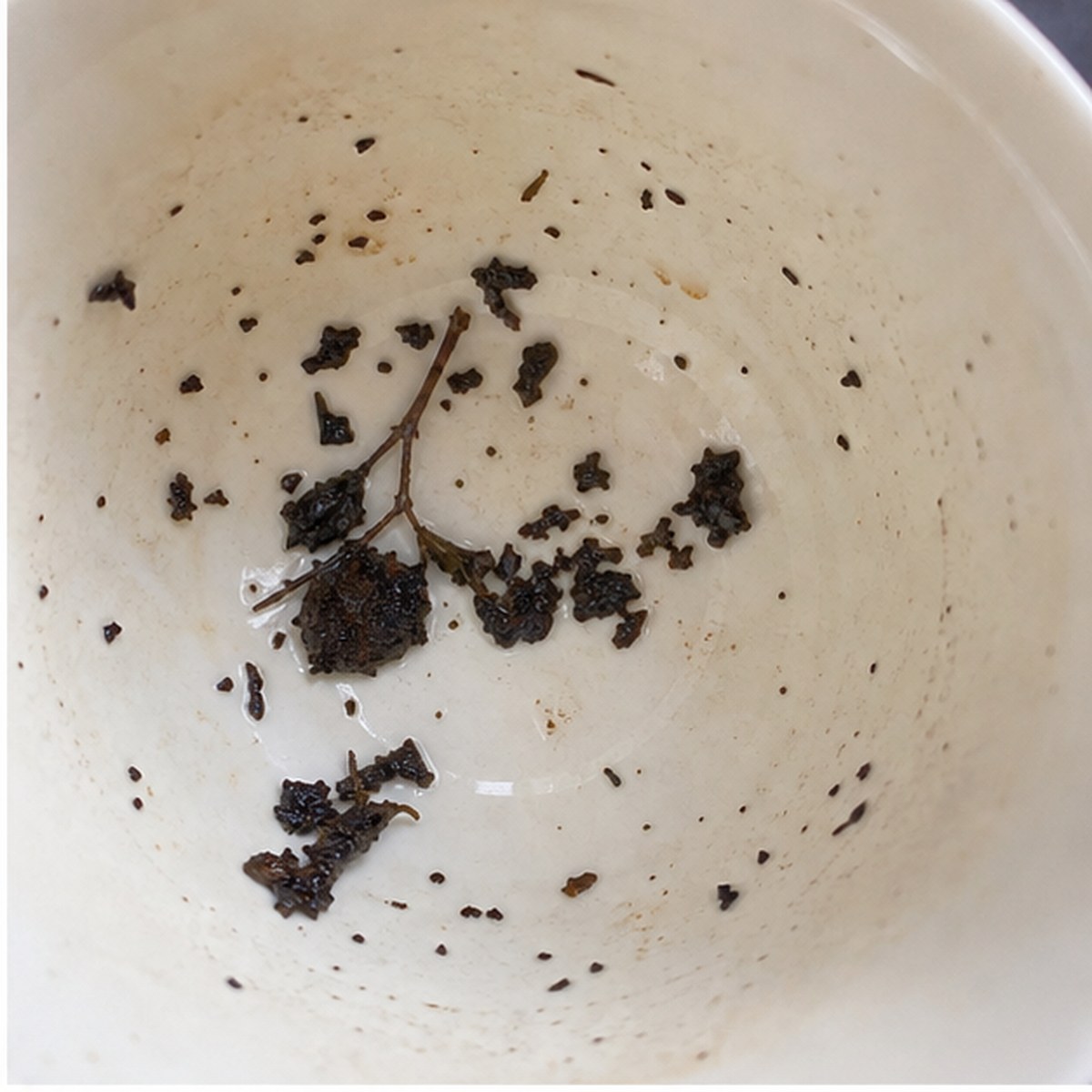 Damsons tea leaves cup variation one