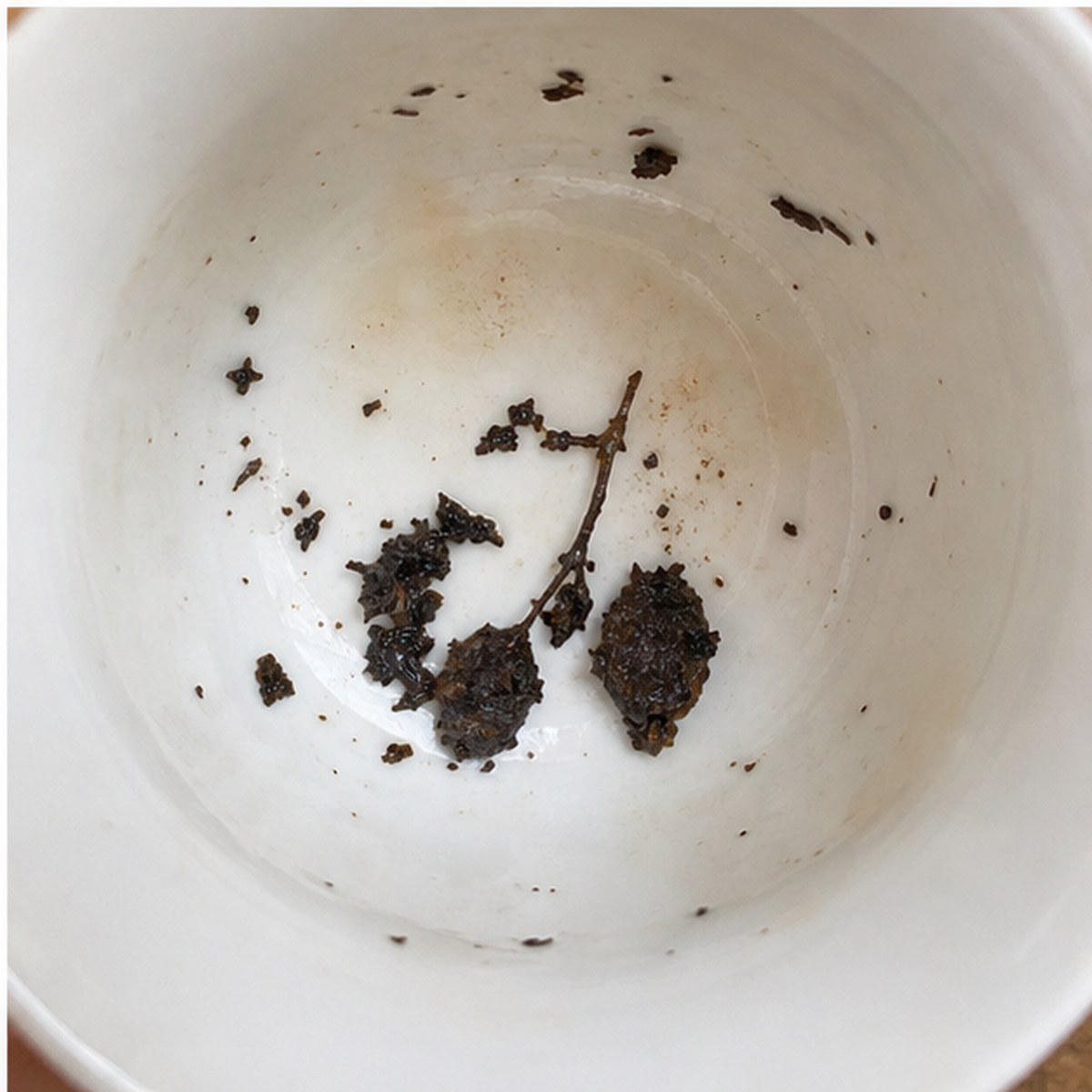 Damsons tea leaves cup variation three