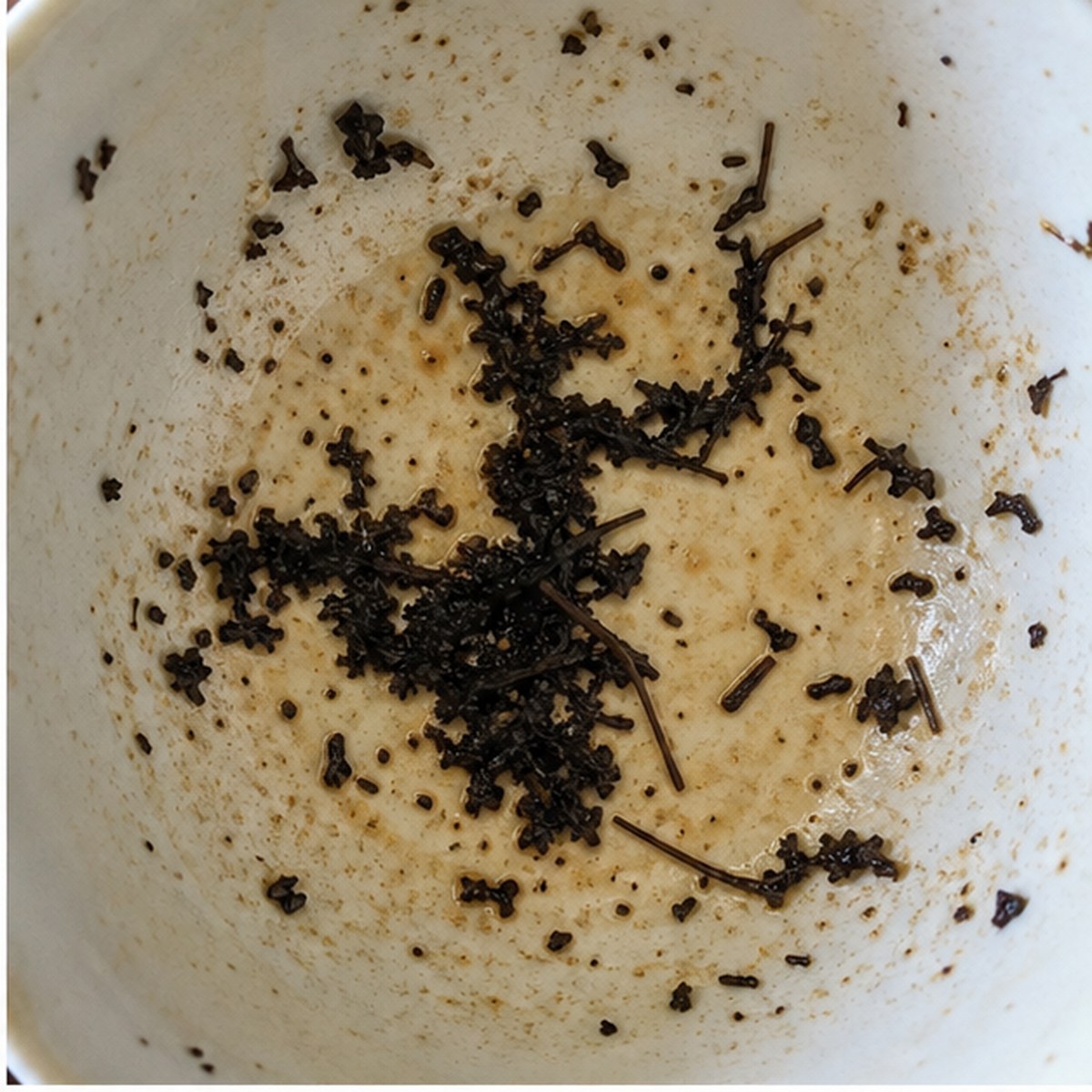 Dancer tea leaves cup variation one