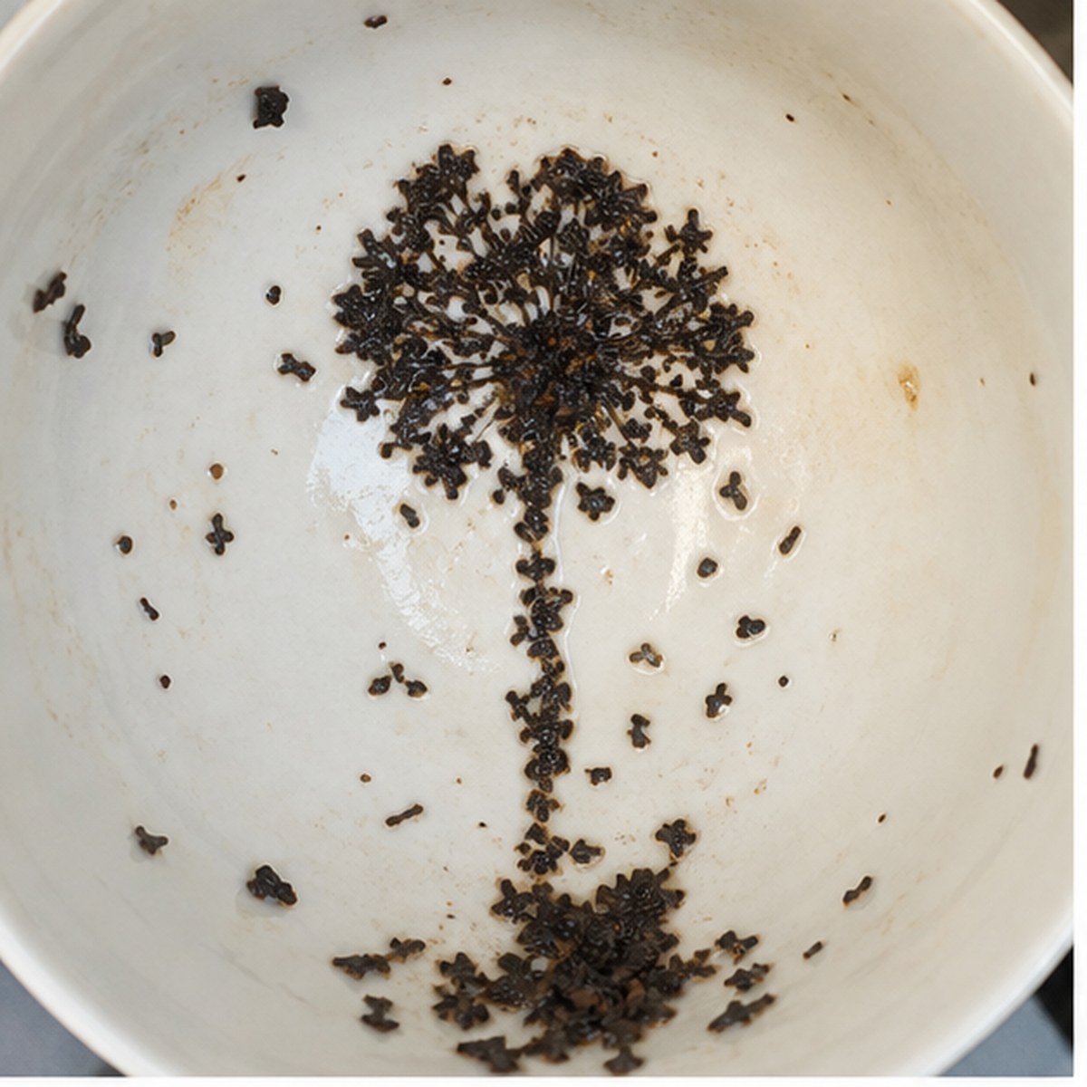 Dandelion tea leaf reading cup example