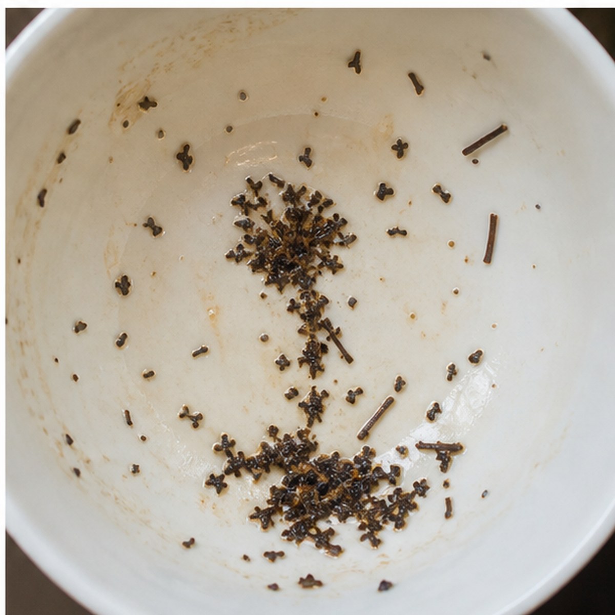 Dandelion tea leaves cup variation three