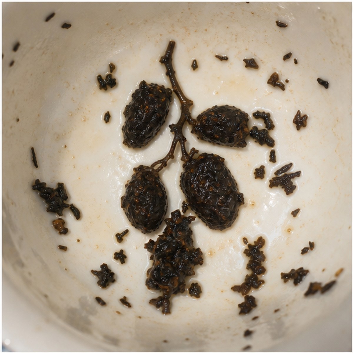 Dates tea leaf reading cup example