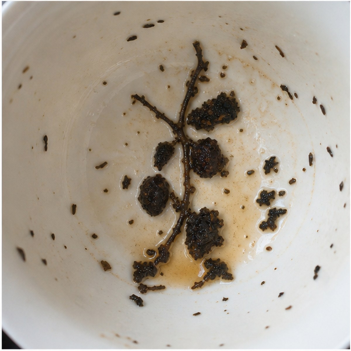 Dates tea leaves cup variation two