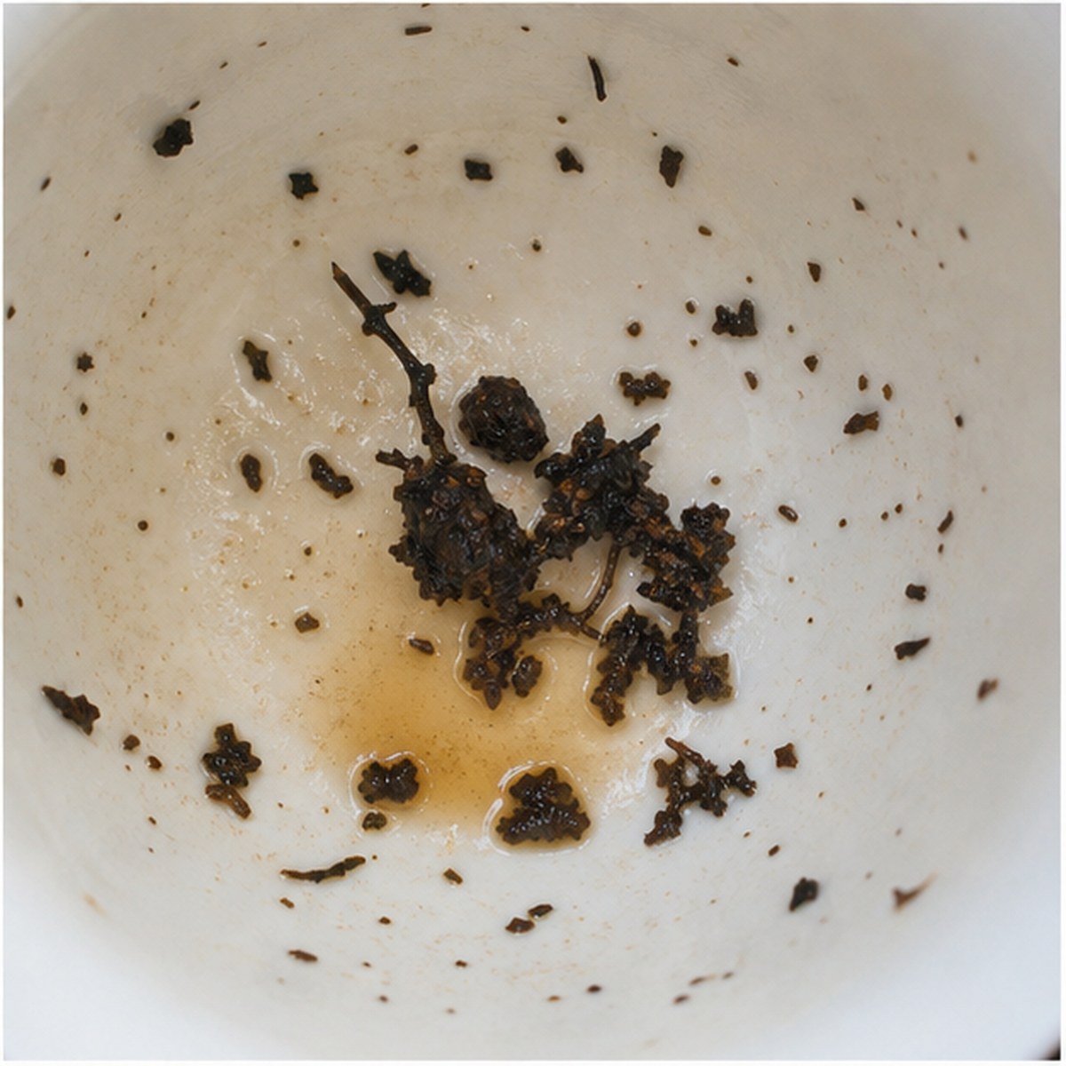Dates tea leaves cup variation three