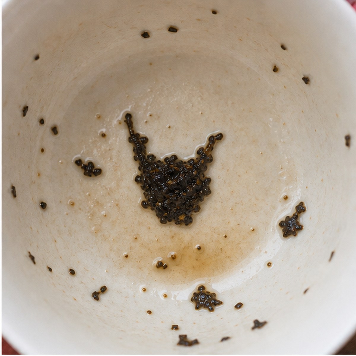 Devil tea leaves cup variation one