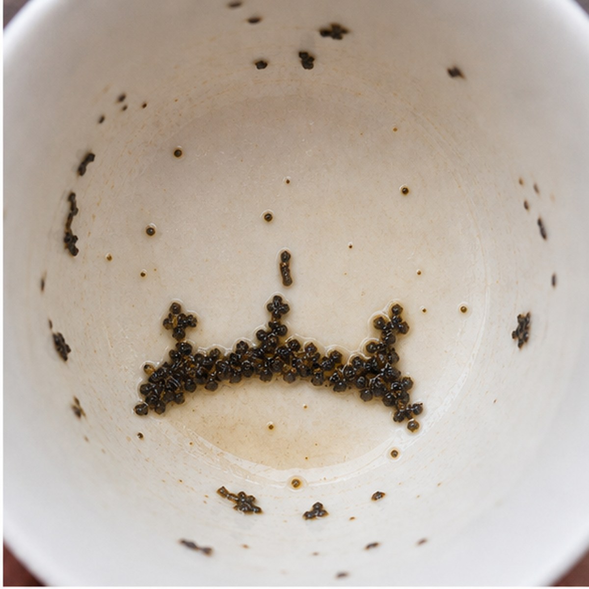 Diadem tea leaves cup variation one