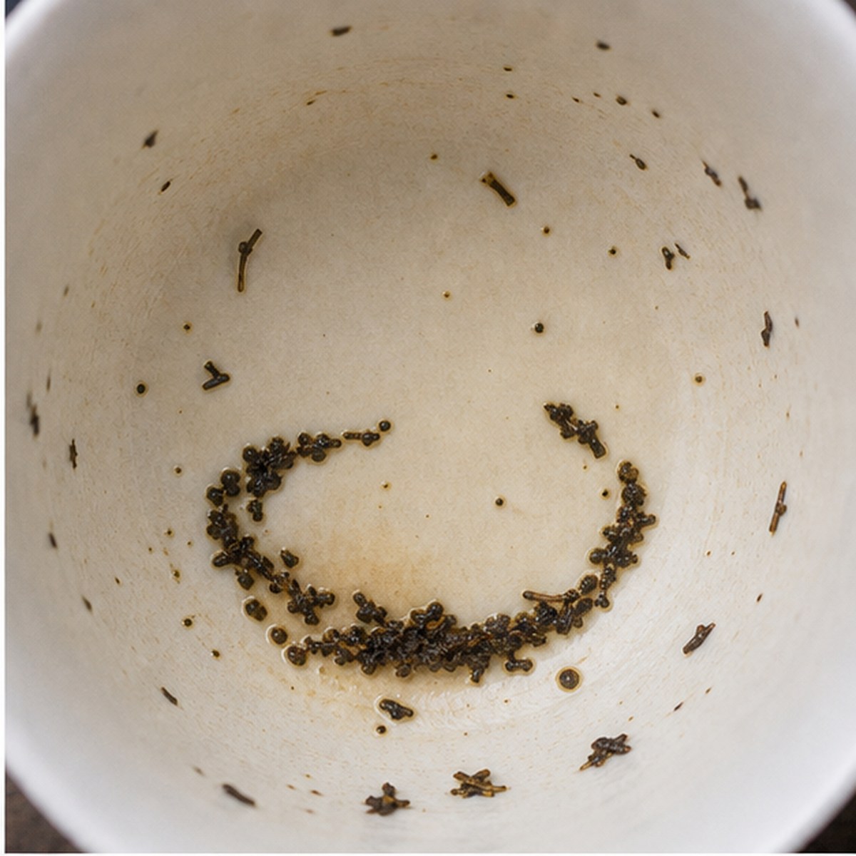 Dish tea leaves cup variation one
