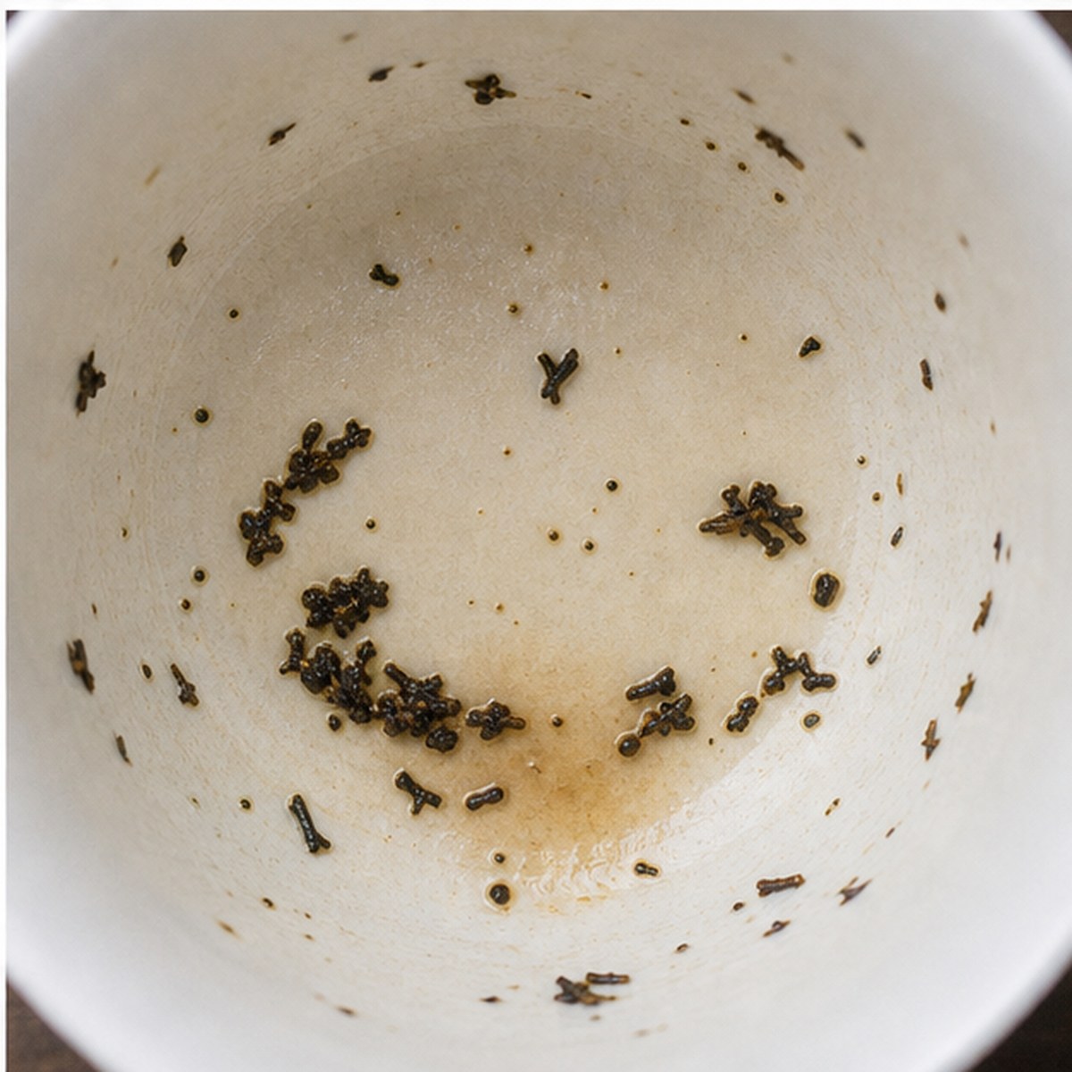 Dish tea leaves cup variation three