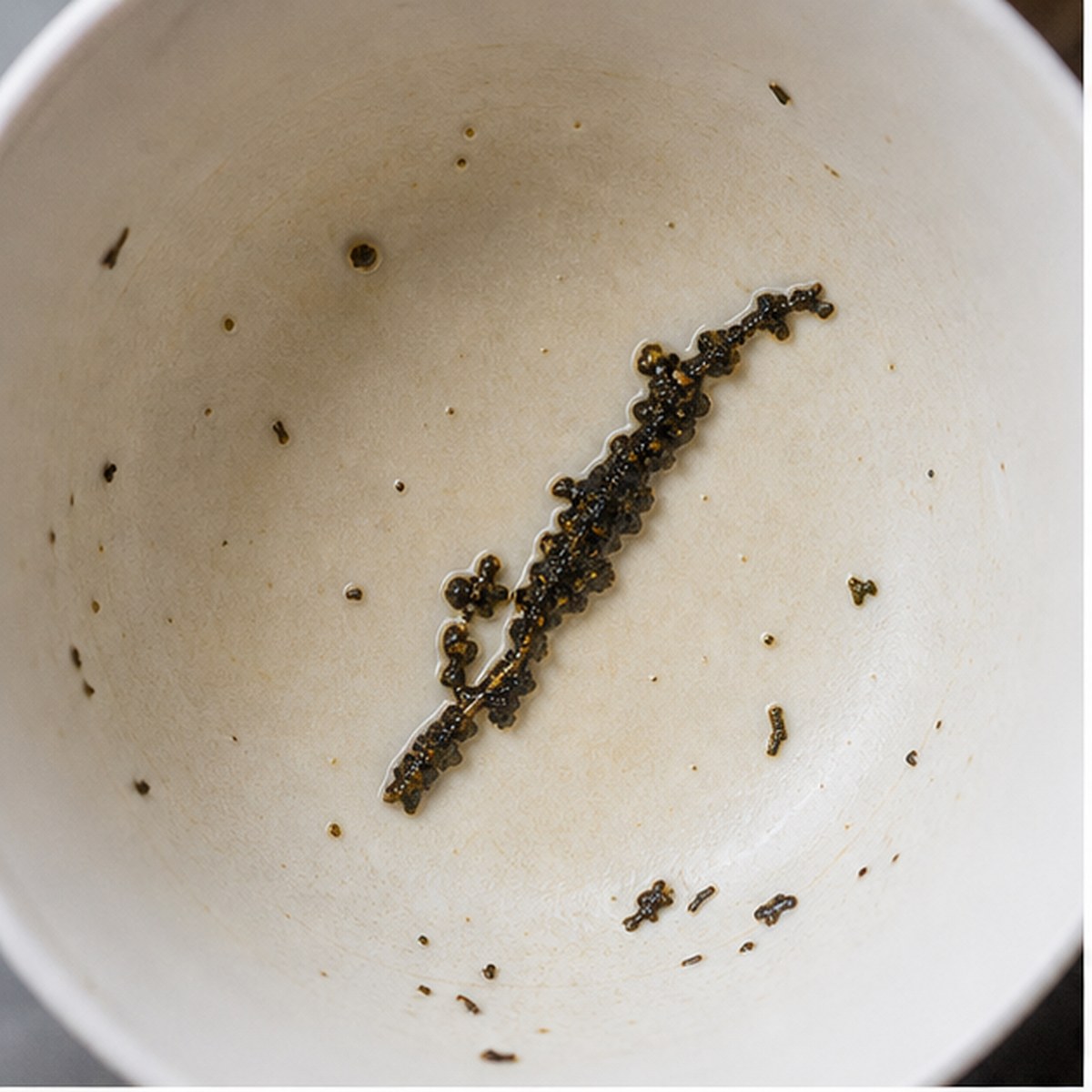 Diver tea leaf reading cup example
