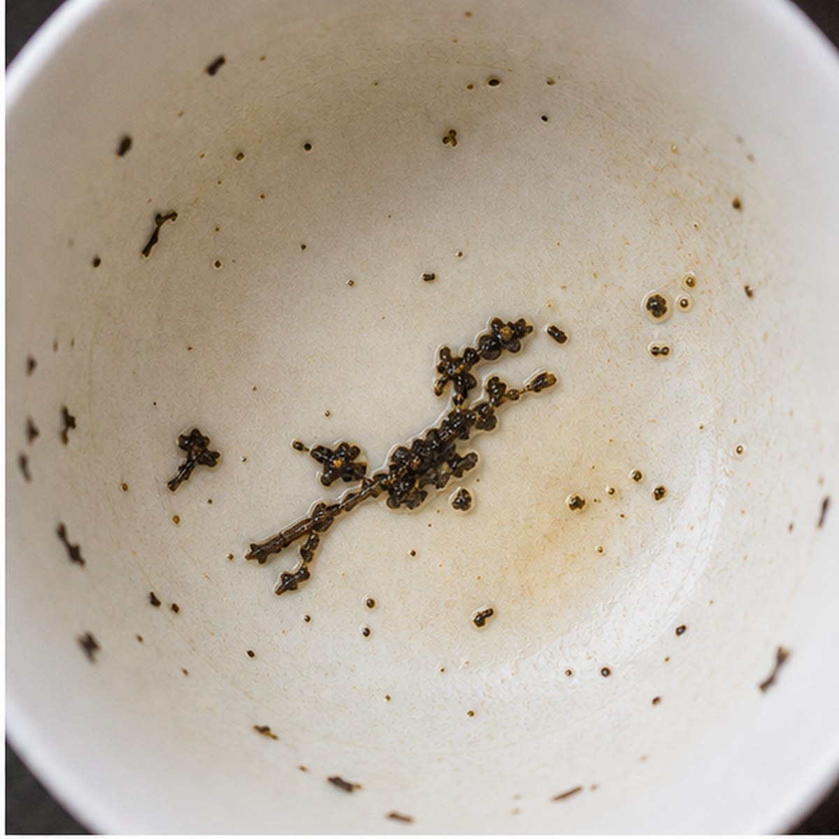 Diver tea leaves cup variation one