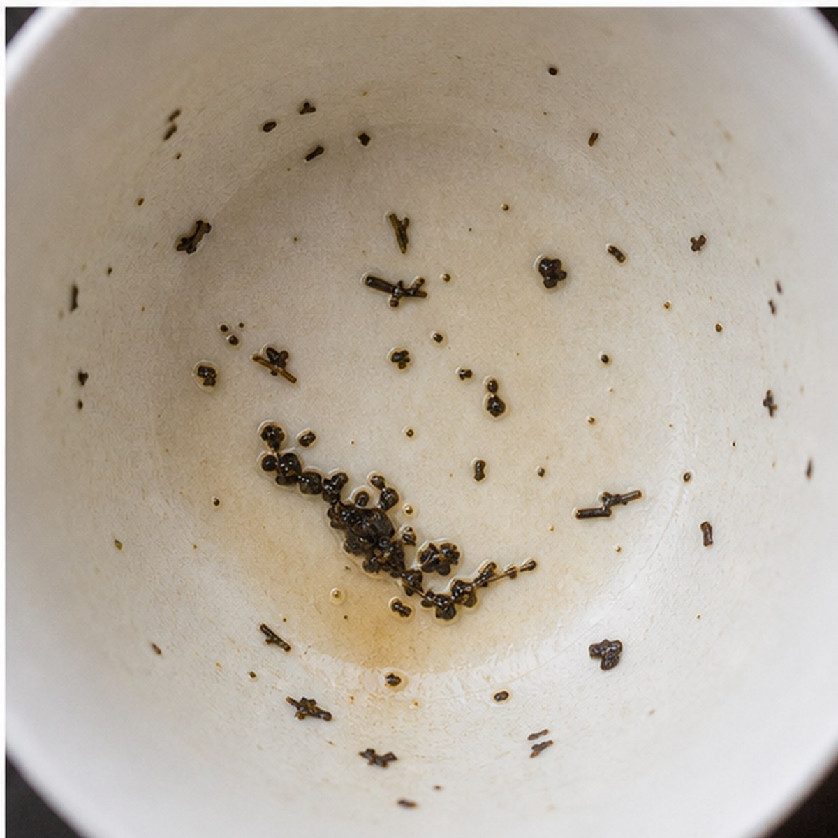 Diver tea leaves cup variation three