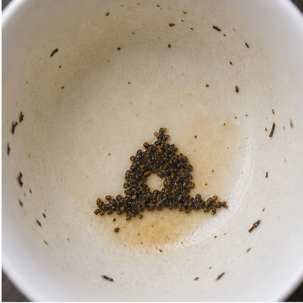 Diving-Bell tea leaves cup variation one