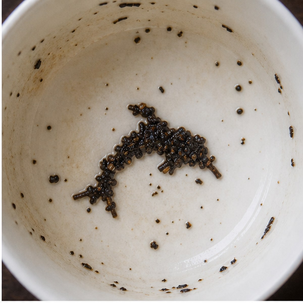 Dolphin tea leaves cup variation one